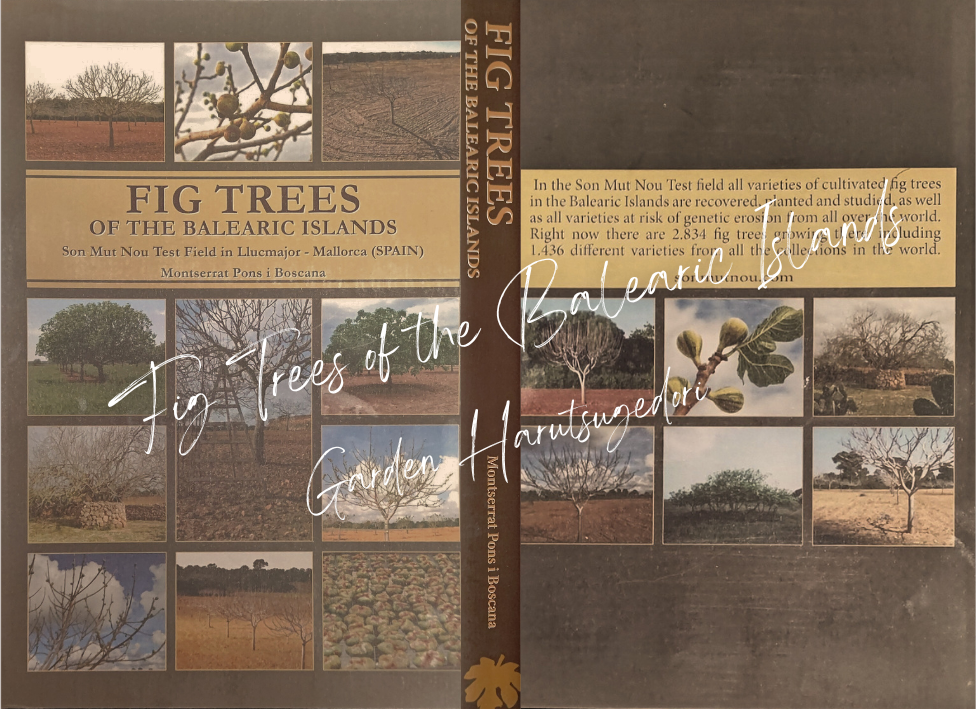 Fig Trees of the Balearic Islands