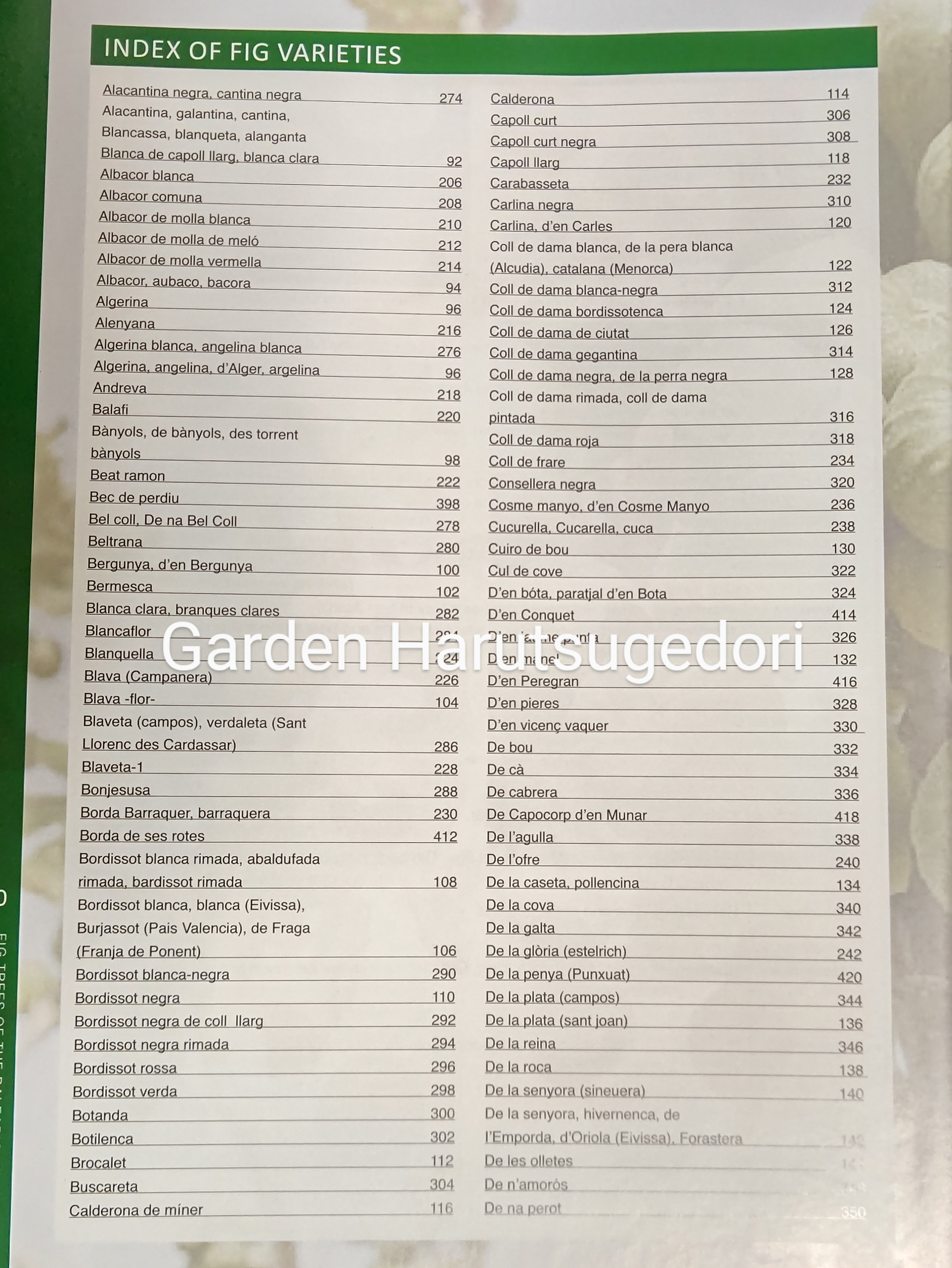 Fig Trees of the Balearic Islands